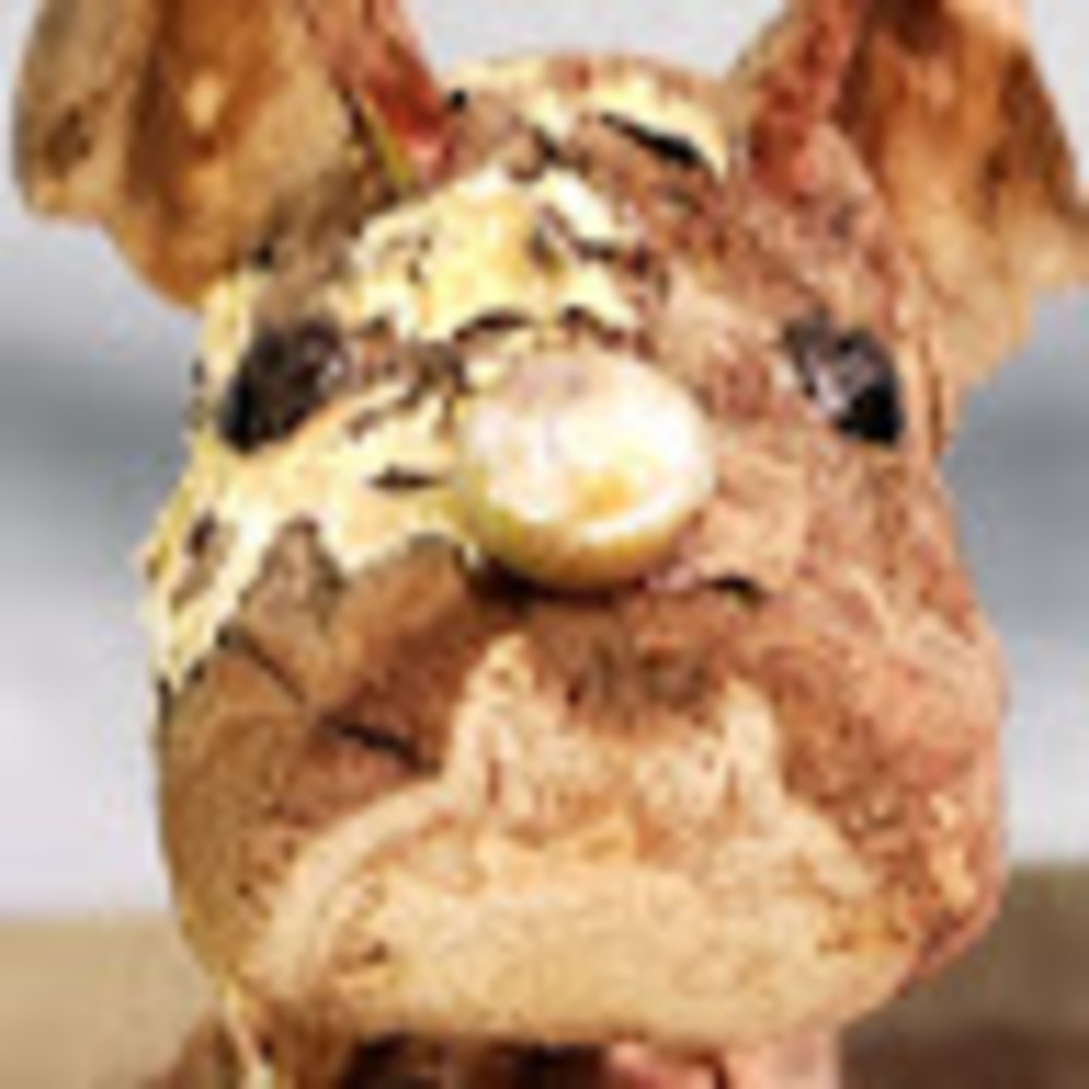 Meet your Posher, Martha